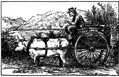 [Half-Breed and Oxcart]