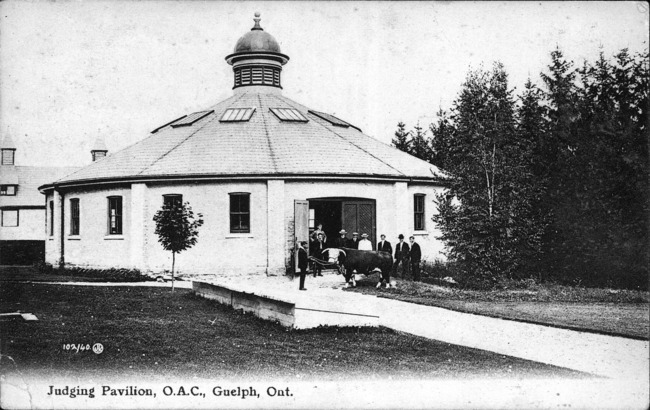 [Judging Pavillion O.A.C., Guelph Ont. Postcard]