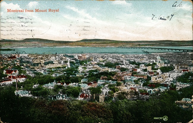 [Montreal from Mount Royal Postcard]
