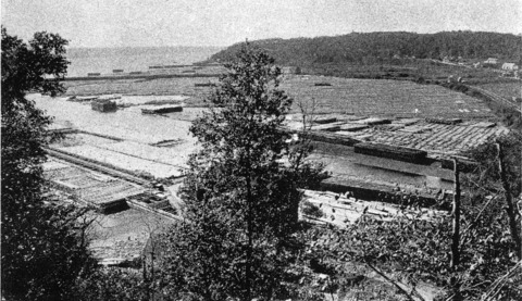 [Nearer View of Coves Seen in Distance Above]
