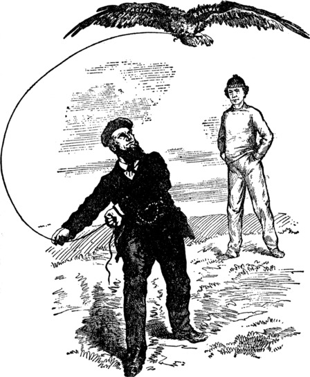 [Pacific Railway Falconry]