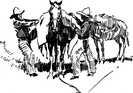 [Surveyor's Packing Pony]