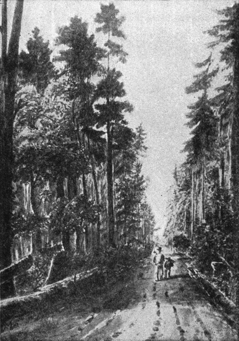 [The Road Between Kingston and York]