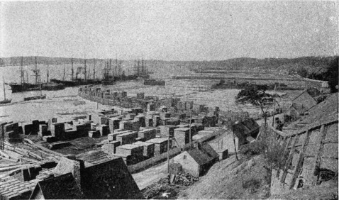 [Timber Coves, Sillery (1876): Ships Loading for Britain]