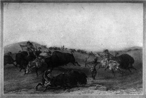 [Buffalo Hunt]