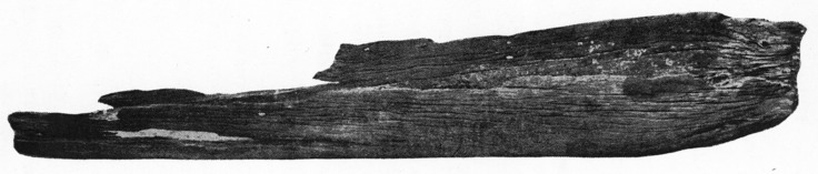 [Prehistoric Canoe from Puslinch Lake]