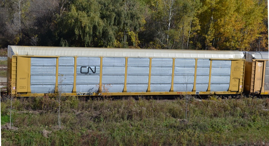 [TTGX 253755 at Kitchener, Ontario]