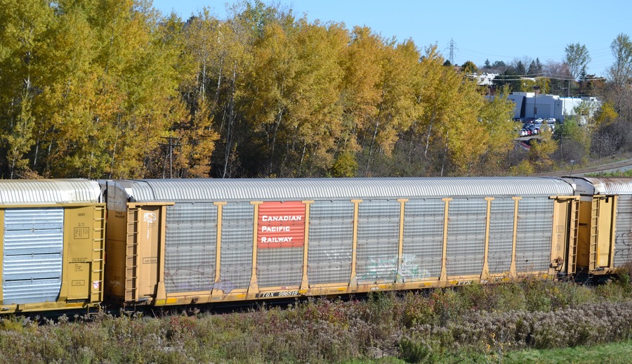 [TTGX 996519 at Kitchener, Ontario]